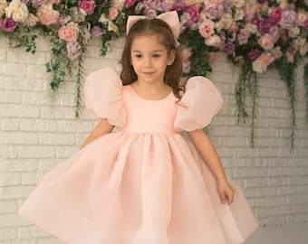 Blush Flower Girl Organza dress, Blush Pink Open Back Dress, Puffy Sleeve Dress, Toddler Party Dress, First Communion Dress Fancy Girl Dress