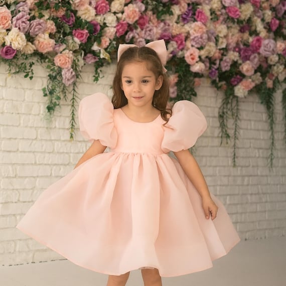 organza birthday dress Blush Flower Girl Dress, Blush Pink Open Back Dress, Puffy Sleeve Dress, Toddler Party Dress, First Communion Fancy Girl Dress Web Collection: Homecoming Lydia - 1950s A-line Color:Feathers & All The fluffy sleeves and