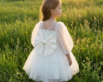 Flower Girl Princess Dress, Toddler Ball Gown, Junior Bridesmaid Dress, Photoshoot Special Occasion Outfit