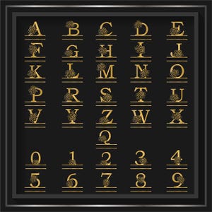 Floral Font Svg, Split Monogram Letters, Split Monogram SVG, Split Font, Split Monogram, Letter Svg, Split Alphabet Svg, Font For Cricut,