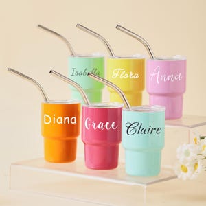 Custom Mini Tumbler with Name, Personalized Tumbler with Straw and Lid, Bridesmaids Gifts, Wedding Party Favors, Bachelorette Party Gift