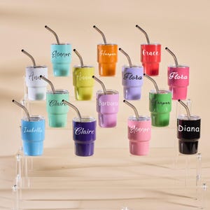 Personalized Mini Tumbler, Bridesmaid Gift, Mini Shot Cup, Personalized Party Tumbler, Wedding Gift,Bachelorette Party Girls Trip Group Gift