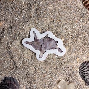 Può includere: Un adesivo raffigurante un coniglio grigio in posa di corsa. L'adesivo è su sabbia, circondato da conchiglie e fiori secchi. Il coniglio ha lunghe orecchie ed è ombreggiato per i dettagli.