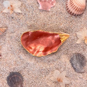 Può includere: Una composizione decorativa con una grande conchiglia di ostrica marrone-rossastra con bordo dorato, circondata da varie conchiglie e delicati fiori traslucidi, il tutto su una superficie sabbiosa.
