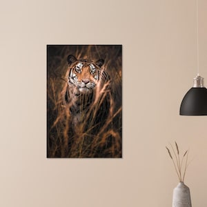 Tigre del Bengala nell'erba alta | Fotografia naturalistica di Marcel Gross | Carta Premium
