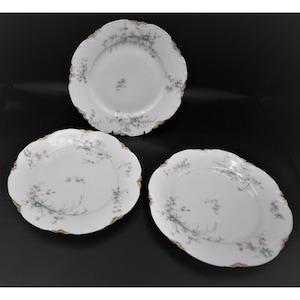 Haviland & Co Limoges 8.5 Inch Luncheon Plates Set of 3 Schleiger 78B?