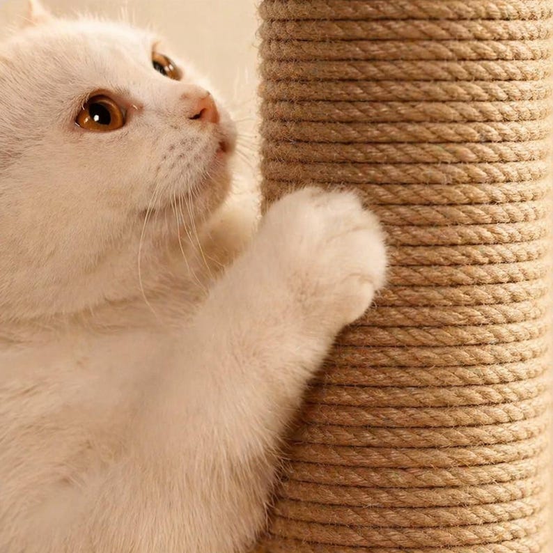 Small Cat Scratching Post with Interactive Toys, Solid Pine Wood Cat Scratcher Tower with Hanging Ball, Cat Wand & Catnip Track image 3