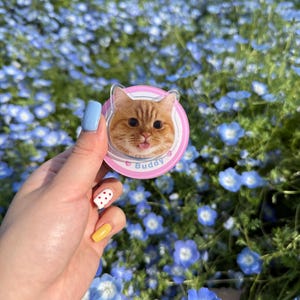 May include: A round, pink and white cat-themed sticker with the name "Buddy" printed on it. The sticker features a close-up image of a ginger cat with its tongue sticking out. The background is a field of blue flowers.