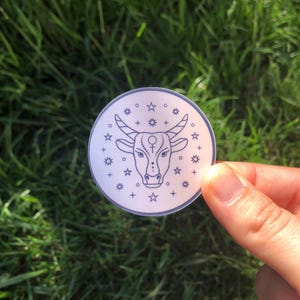 Sticker - signes astrologiques - Autocollants sarcastiques, citations, en vinyle imperméable pour gourde, ordinateur etc