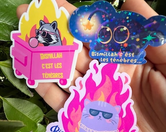 Peut inclure: Trois autocollants découpés représentant des animaux de dessin animé. Un raton laveur dans une benne rose avec des flammes jaunes, une créature sombre avec un leurre lumineux, et un chat violet dans des flammes roses. Texte Bismillah c'est les ténèbres.