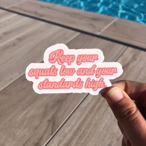 Aufkleber - Keep your squats low and your standards high - Sarkastische Sticker, Zitate, wasserfestes Vinyl für Wasserflasche, Computer