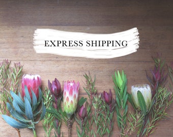 Express Shipping Upgrade