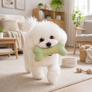 Peut inclure: Un chien blanc et duveteux tenant un jouet en forme d'os vert avec le nom "Luna" en jaune. Le jouet a un motif &agrave; carreaux verts et blancs. Un bol beige pour chien avec le mot "HUNGRY" est visible.