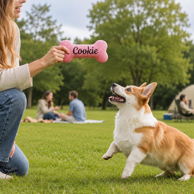 Peut inclure: Un jouet rose en forme d'os pour chien avec le nom "Cookie" en texte blanc est pr&eacute;sent&eacute; &agrave; un chien corgi. Le chien l&egrave;ve les yeux, pr&ecirc;t &agrave; jouer. Le jouet a un motif vichy. La sc&egrave;ne se d&eacute;roule sur une pelouse verte avec des arbres en arri&egrave;re-plan.