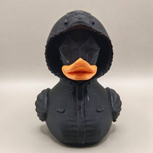 Masked leader duck