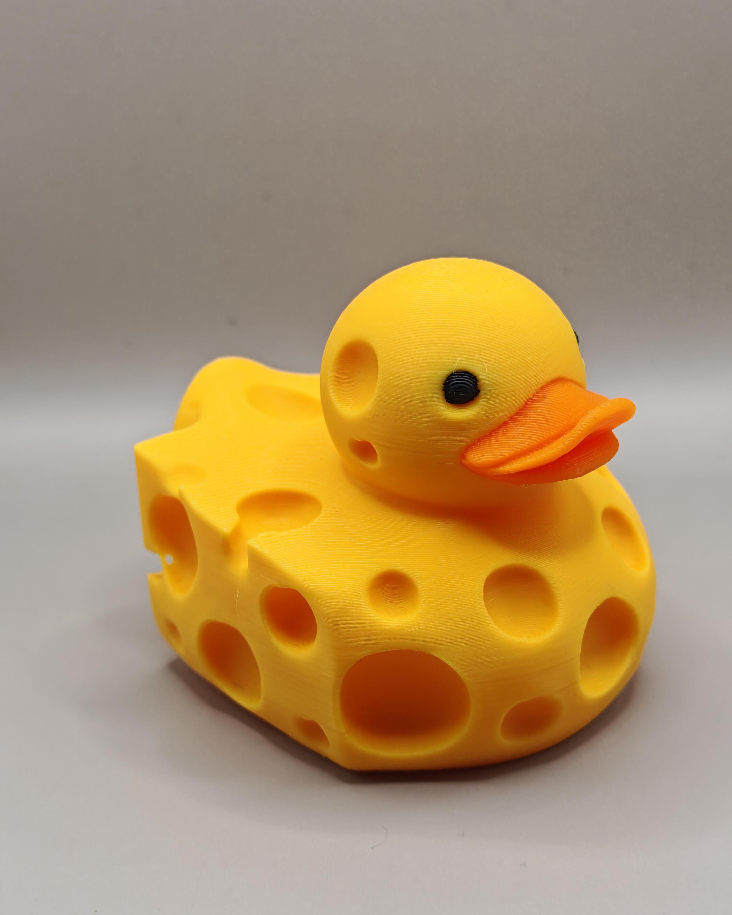 Swiss Cheese Duck - Etsy