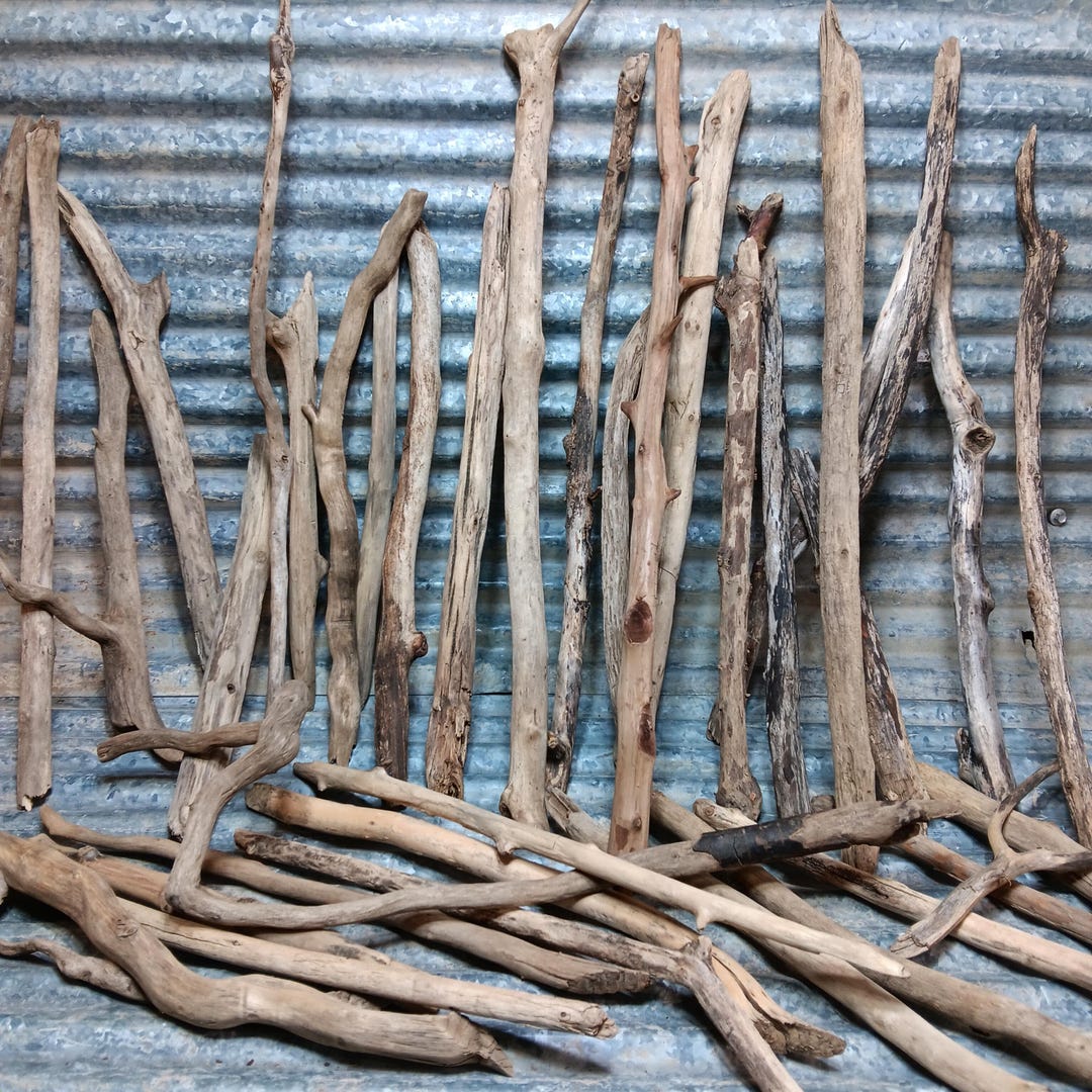 Driftwood Branches 5-pack: Assorted Sizes for Reptile, Bird Perch ...