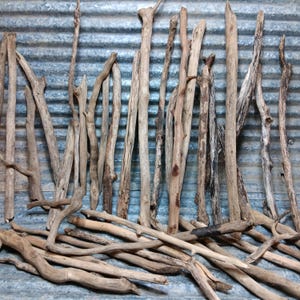 May include: A collection of weathered driftwood pieces in various shapes and sizes. The wood tones range from light beige to dark brown, with some pieces showing interesting textures and knots. The background is a corrugated metal sheet.