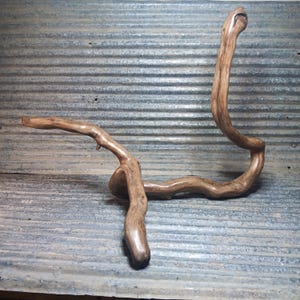 Abstract Driftwood Sculpture &quot;Still Waters&quot;