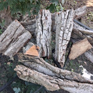 May include: A collection of several rough, weathered wooden logs with deeply textured, greyish-brown bark. The pieces vary in size and shape, displaying natural cracks, fissures, and exposed inner wood grain in shades of light tan and brown.