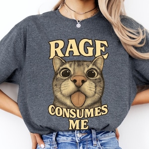Funny Cat Meme Shirt, Rage Consumes Me Tee, Retro Aesthetic Kawaii Cat T-Shirt, Frogcore Cottagecore Goblincore Clothing, Humor Unisex Shirt