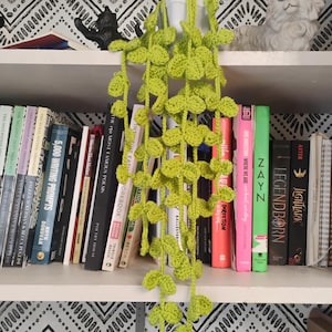 Puede incluir: Una planta de ganchillo verde lima hecha a mano con detalles en forma de hoja cuelga frente a una estantería. La estantería contiene varios libros con lomos coloridos. Una figura de gato negro y una estatua de gato blanco están en el estante superior.