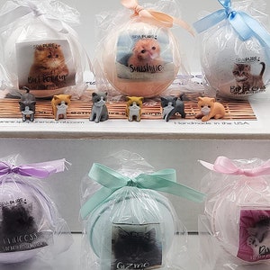 Spa Pure Kittens in a Basket: 6 Adorable Kittens Hiding Inside Each Colorful Bath Bomb, XL 5 oz Each (6 Count) Pack of 1