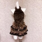 Leopard Print Clothing
