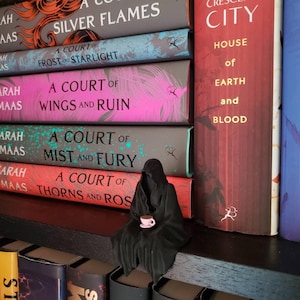 Bücherregal Suriel | Gespenst | Sensenmann Figur | mit Teetasse | ACOTAR Suriel | Velaris Geist Fantasy | Suriel Tee Dornengericht