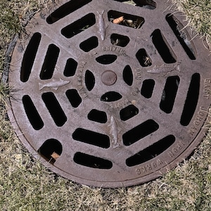 May include: A circular, rusty brown metal drain cover with a geometric design and the words "EAST JORDAN IRON WORKS" and "DUMP TO WATERWAYS DRAINS" inscribed on it. The drain cover is set in a bed of dry grass.