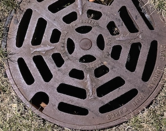 Puede incluir: Una tapa de alcantarilla circular de metal marrón oxidado con un diseño geométrico y las palabras "EAST JORDAN IRON WORKS" y "DUMP TO WATERWAYS DRAINS" inscritas. La tapa de la alcantarilla está colocada en un lecho de hierba seca.