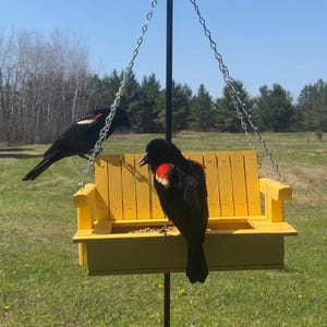 May include: A bright yellow wooden bird feeder shaped like a miniature bench, suspended by silver metal chains from a black pole. Two black birds with red and yellow shoulder patches are perched on the feeder, which contains scattered birdseed.
