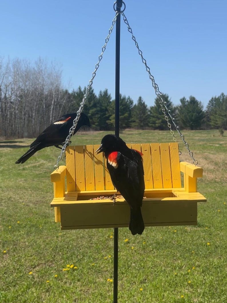 May include: A bright yellow wooden bird feeder shaped like a miniature bench, suspended by silver metal chains from a black pole. Two black birds with red and yellow shoulder patches are perched on the feeder, which contains scattered birdseed.