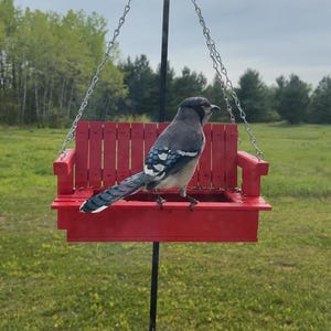 May include: A bright red wooden bird feeder shaped like a miniature porch swing, suspended by silver metal chains from a black pole. A blue jay with blue, white, and black patterned feathers is perched on the seat of the feeder, facing to the right.