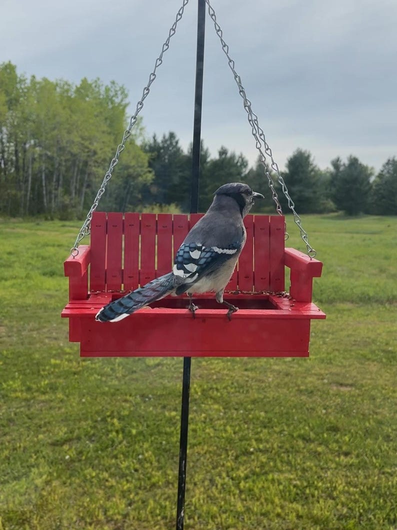 May include: A bright red wooden bird feeder shaped like a miniature porch swing, suspended by silver metal chains from a black pole. A blue jay with blue, white, and black patterned feathers is perched on the seat of the feeder, facing to the right.