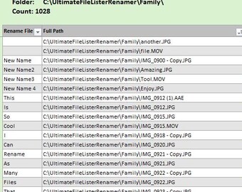 Excel-bestandszoeker en hernoeming: VBA-bestandsorganisator