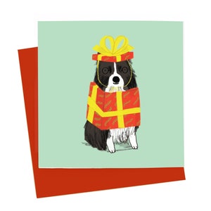Hunde Weihnachtskarte Border Collie Weihnachtskarte