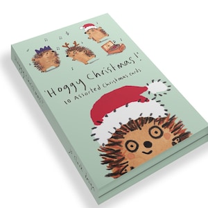 Pacote de sortimento de cartões de Natal Hedgehog