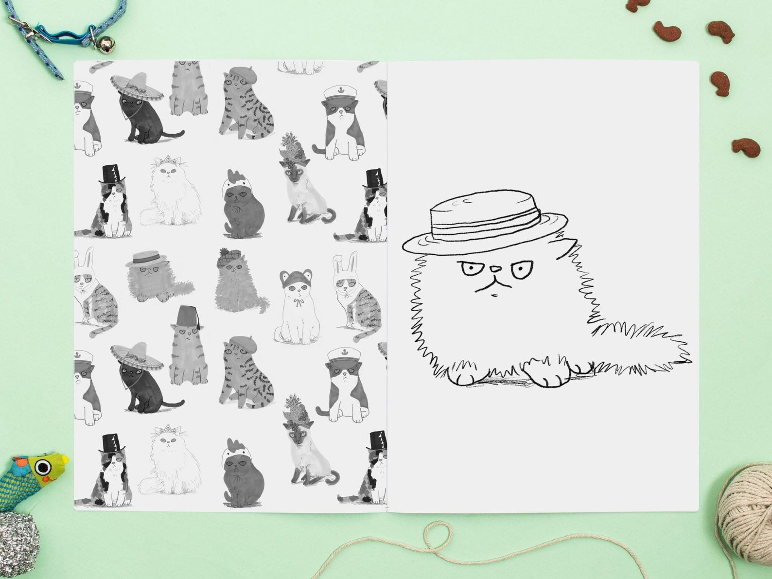 Cat Colouring Book Cats in Hats Activity Book Coloring Book - Etsy
