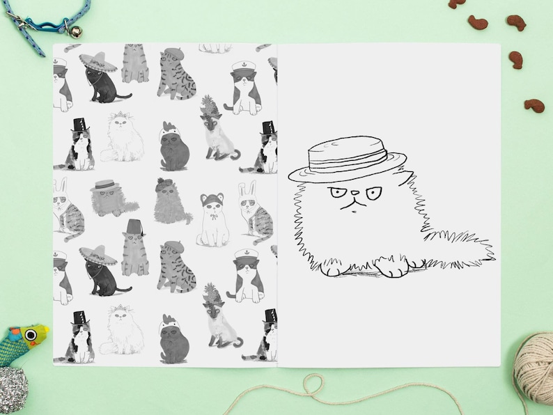 Cat Colouring Book Cats In Hats Activity Book Coloring Book image 2