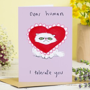 Cat Valentines Card Ti tollero