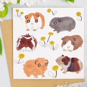 Carte d'anniversaire vierge avec fleurs de pissenlits et cochon d'Inde, marron, marron et blanc