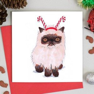 Cartão De Natal Gato Com Chapéu De Bastão De Doces