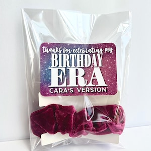 Birthday Era Birthday Party Favors | Velvet Hair Tie Scrunchie Favors | Birth-Tay Party Favors | Party Theme Favors | Girls Birthday Favors