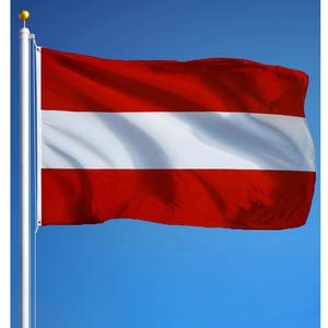 Austria Flag 3x5 ft (90x150 cm) Austrian National Flag Outdoor Decor for House Yard Parades Austria National Day Events Protest Display