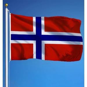 Norway Flag 3x5 ft (90x150 cm) Norwegian National Flag for 17 May Constitution Day Outdoor Decor House Yard Festivals  Sports Events Display