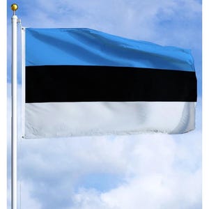 May include: A flag of Estonia, featuring three horizontal stripes: light blue at the top, black in the middle, and white at the bottom. The flag is waving in the wind against a backdrop of a partly cloudy sky.