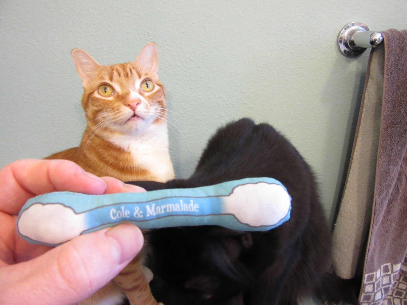 Official Cole & Marmalade Cotton Swab Catnip Cat Toy Etsy