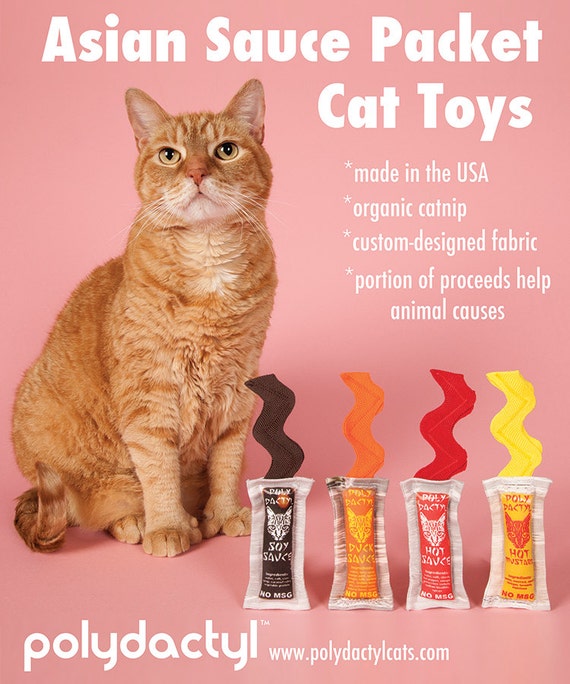 cat toy set