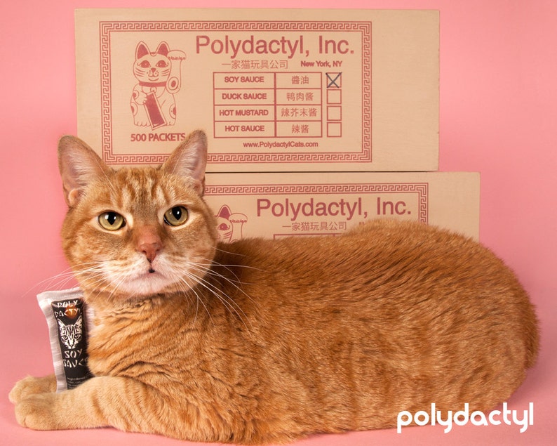 Chinese Takeout Asian Hot Sauce Packet Catnip Cat Toy Etsy